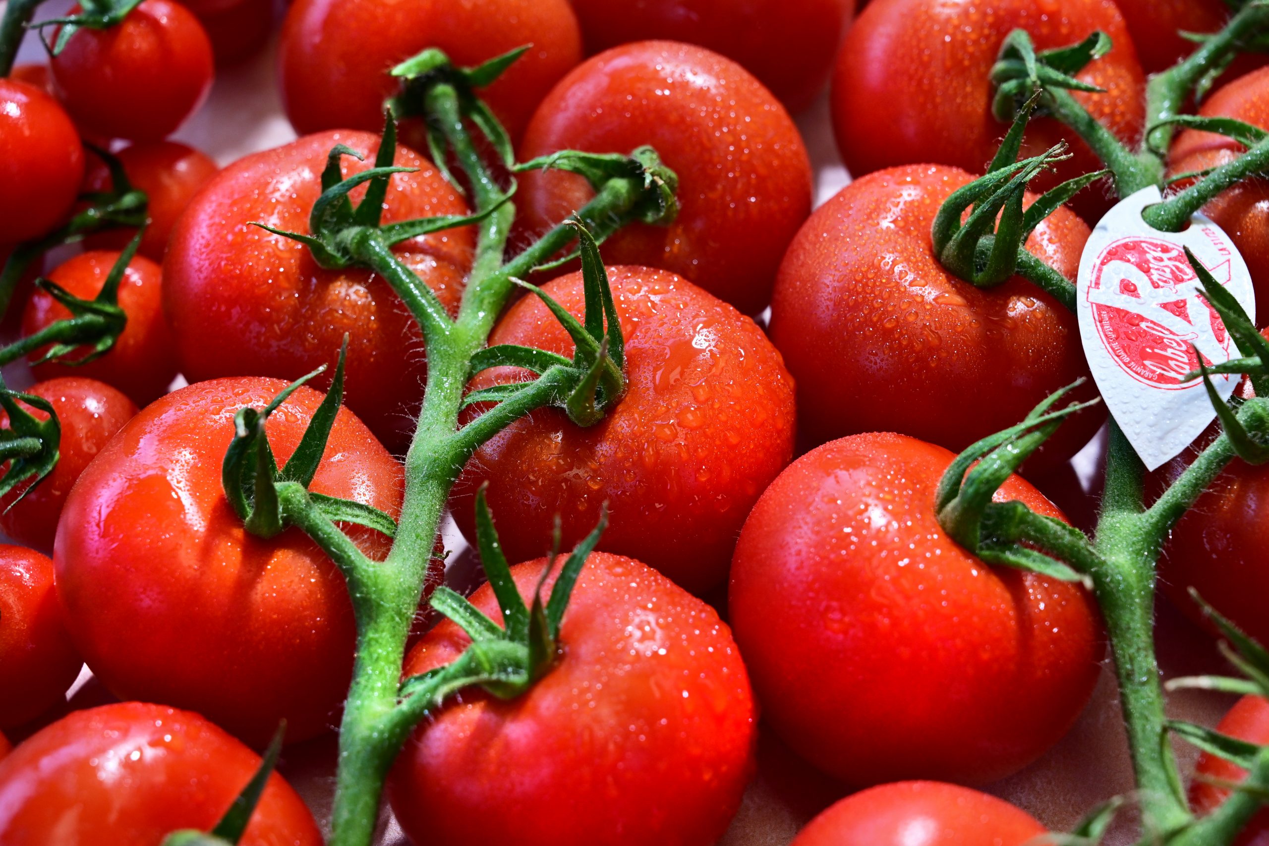 Tomates Label Rouge