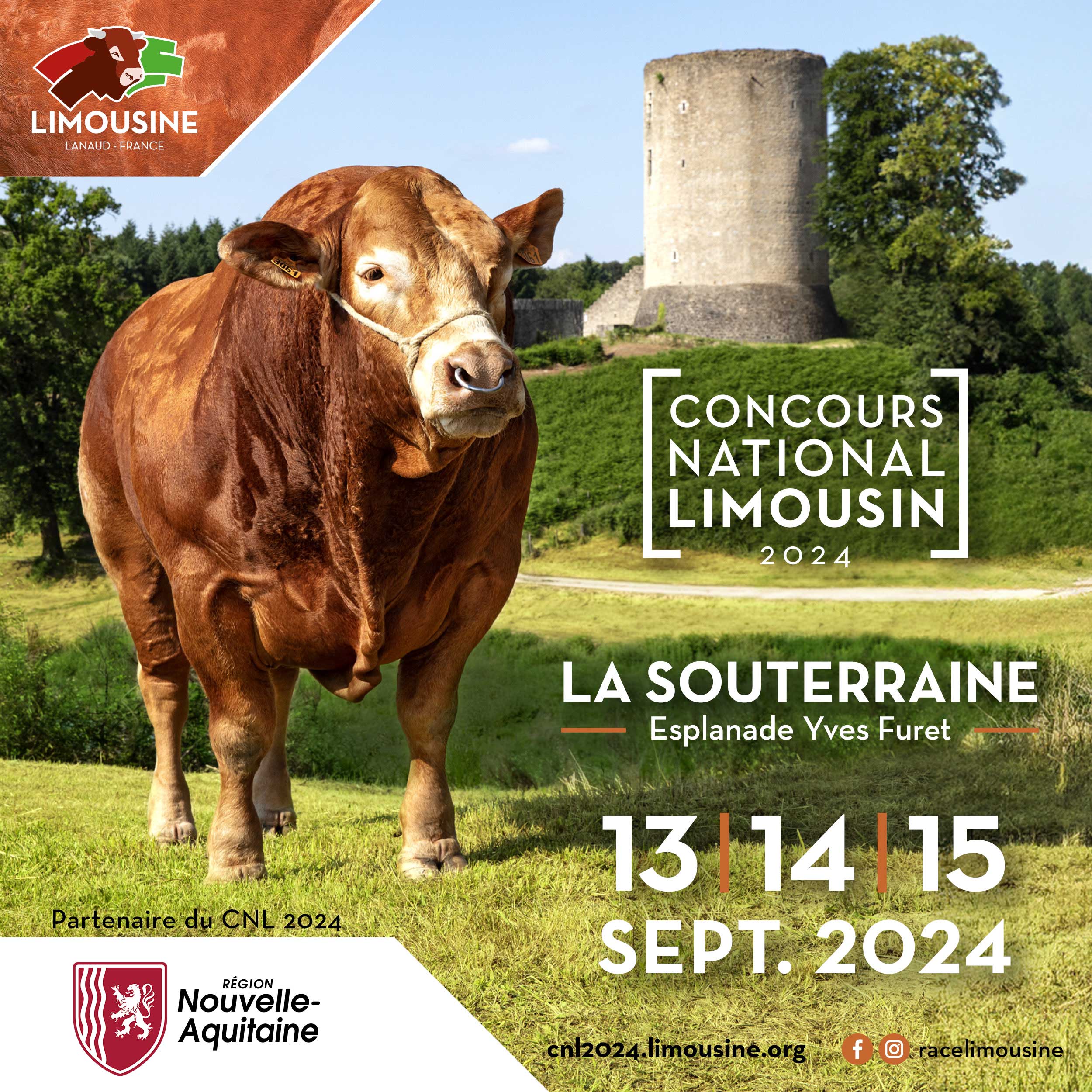 Concours National Limousin 2024 Région Nouvelle Aquitaine