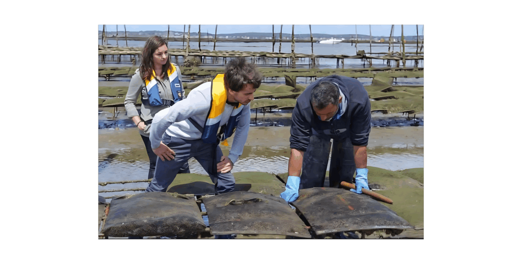 Bassin Arcachon pescatourisme huitres Lionel Foucart 